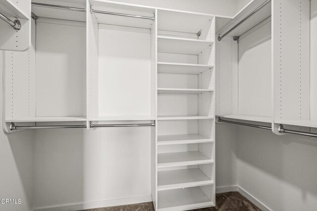 spacious closet with dark colored carpet