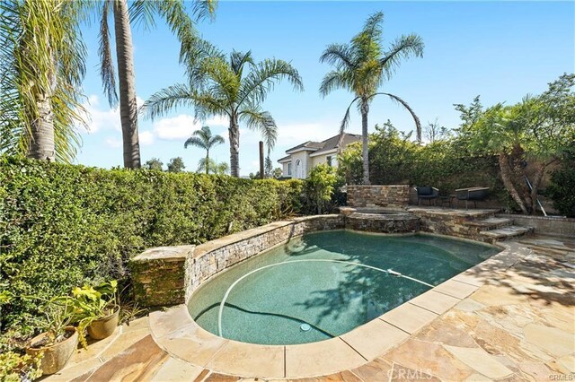 view of pool with a patio