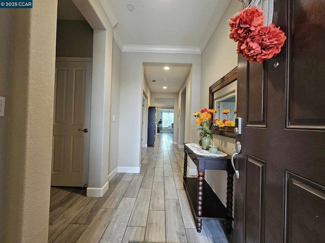 corridor with light hardwood / wood-style floors and ornamental molding