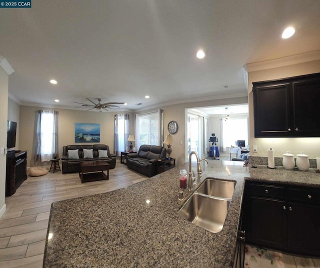 kitchen with ceiling fan, plenty of natural light, stone counters, crown molding, and sink