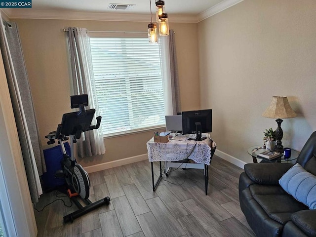 office space with crown molding