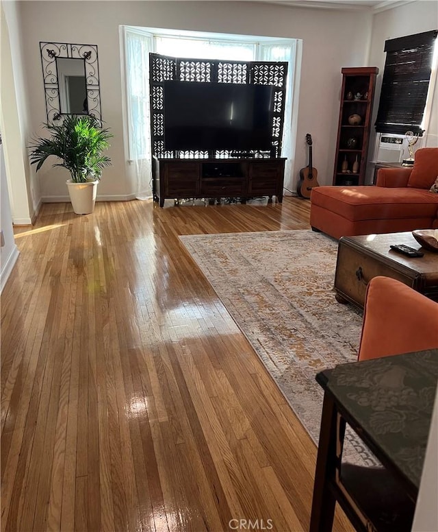 living room featuring light hardwood / wood-style floors