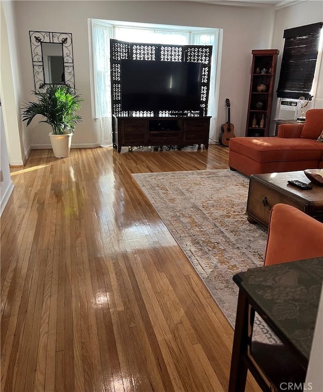 living room featuring light hardwood / wood-style flooring