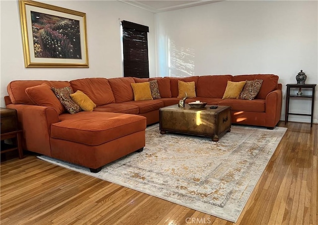 living room with wood-type flooring and crown molding