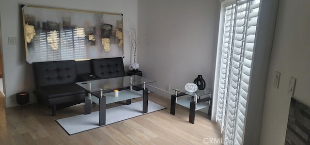 sitting room featuring wood-type flooring