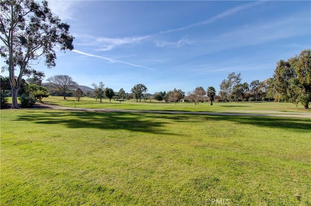 view of home's community featuring a yard