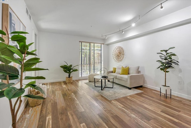 living room featuring rail lighting and light wood-type flooring