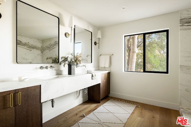 bathroom with hardwood / wood-style floors and vanity