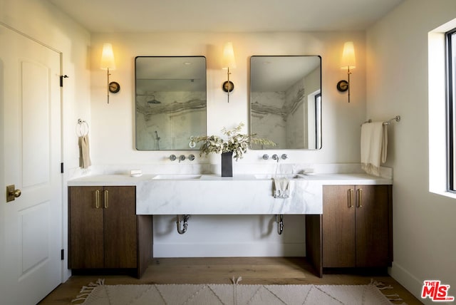 bathroom with hardwood / wood-style flooring and vanity