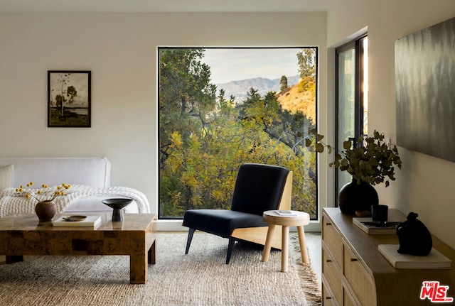 living area featuring a mountain view