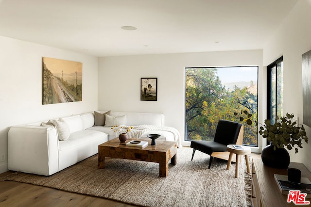 living room featuring hardwood / wood-style flooring