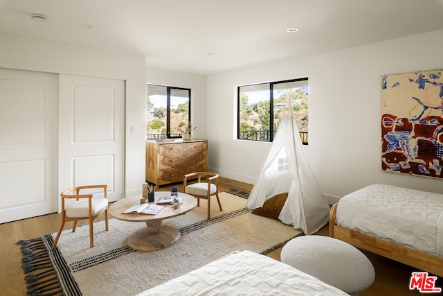 bedroom featuring wood-type flooring and a closet