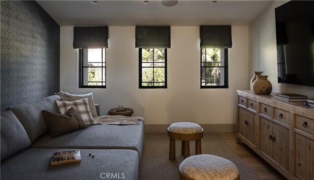 living room with wood-type flooring