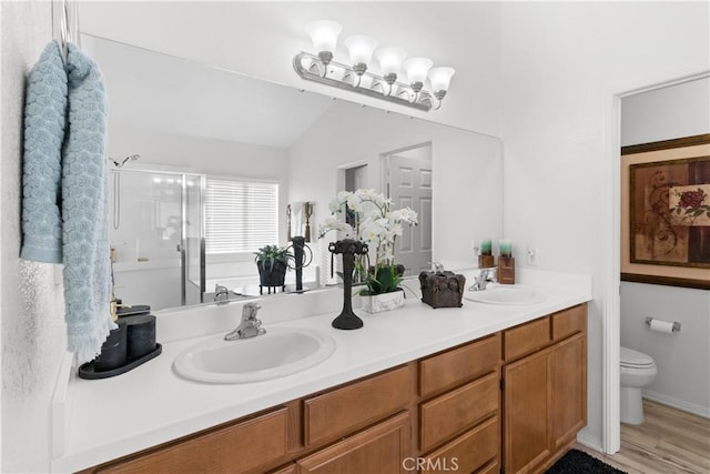 bathroom with toilet, vanity, vaulted ceiling, and a shower with shower door