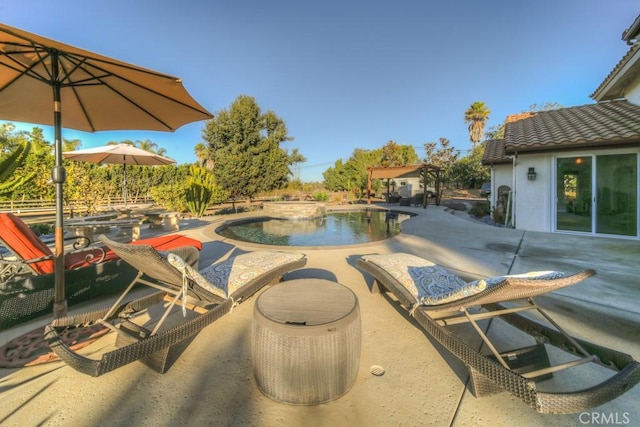 view of pool with a patio area