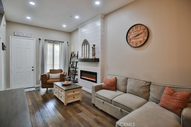 living room with a large fireplace and dark hardwood / wood-style flooring