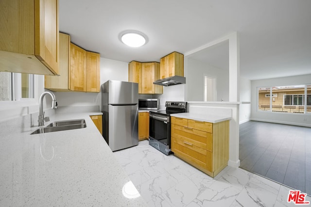 kitchen featuring sink, stainless steel appliances, and range hood