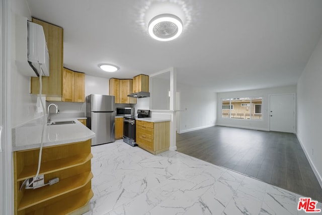 kitchen featuring ventilation hood, sink, and stainless steel appliances