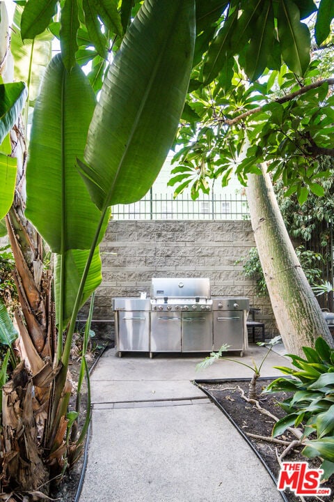 view of patio / terrace with area for grilling and exterior kitchen