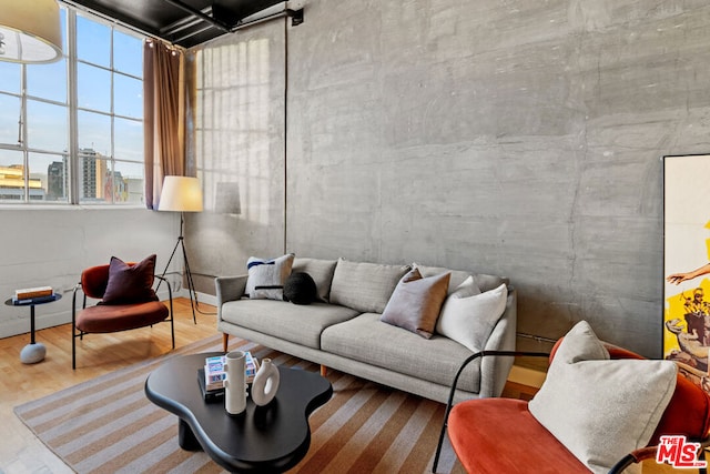 living room featuring hardwood / wood-style floors