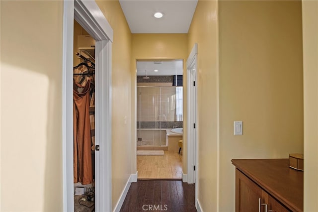 hallway featuring dark wood-type flooring