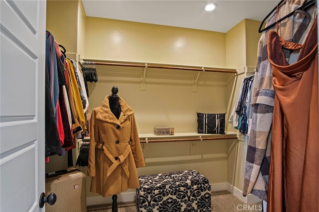 walk in closet with carpet floors