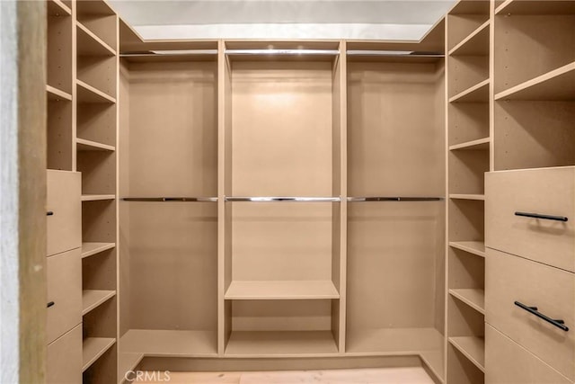 view of spacious closet