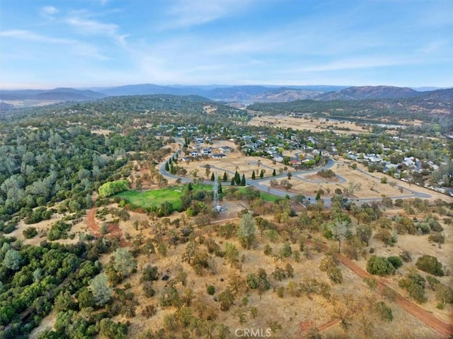 229 Lariat, Oroville, CA 95966 - photo 33