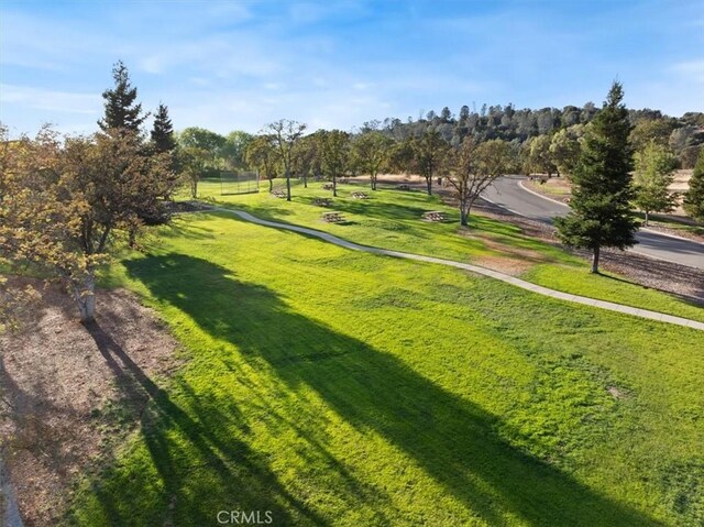 view of home's community featuring a lawn