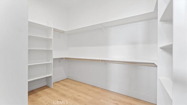 walk in closet featuring light hardwood / wood-style floors