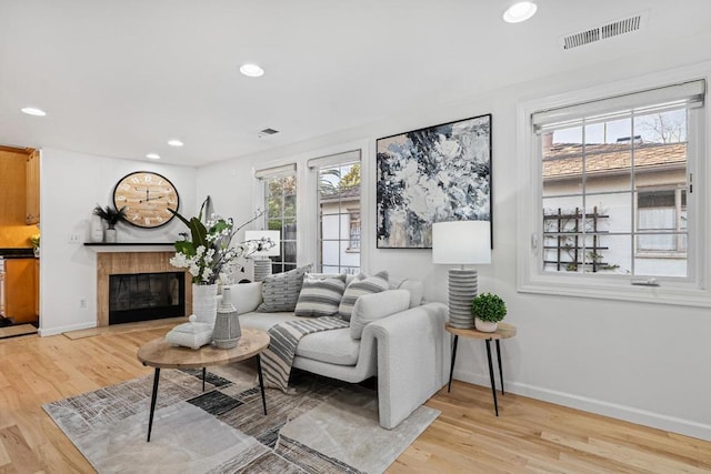 living room with a fireplace and light hardwood / wood-style floors