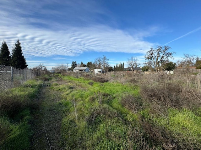 view of local wilderness with a rural view