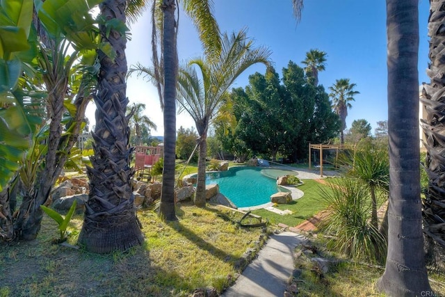 view of pool with a yard