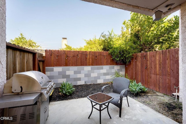 view of patio / terrace featuring area for grilling