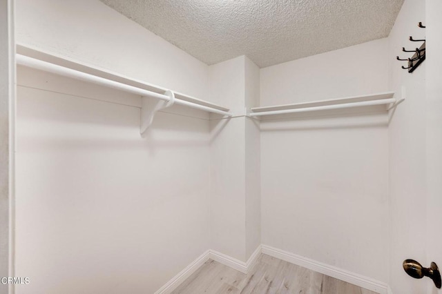 walk in closet with light wood-type flooring