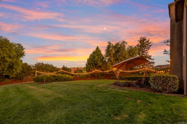 view of yard at dusk