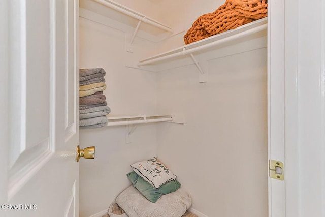 view of spacious closet