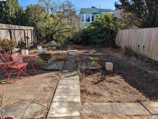 view of yard featuring a patio area