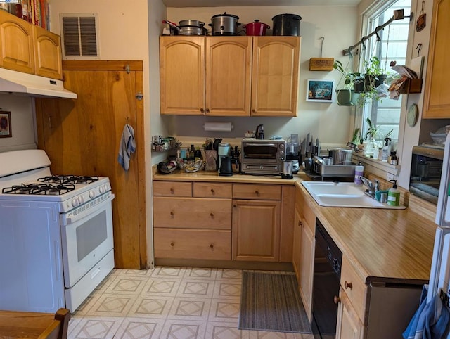 kitchen featuring dishwasher, white gas range oven, and sink