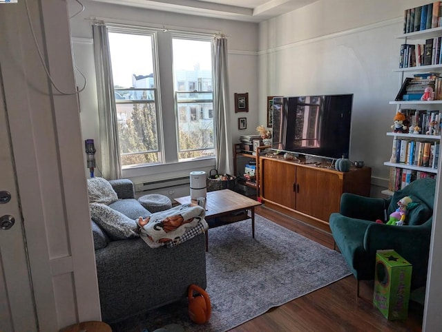 living room with hardwood / wood-style floors