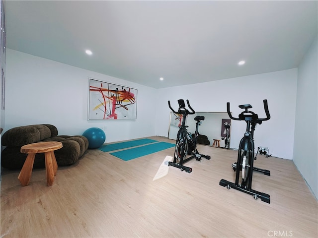 exercise room featuring light hardwood / wood-style floors