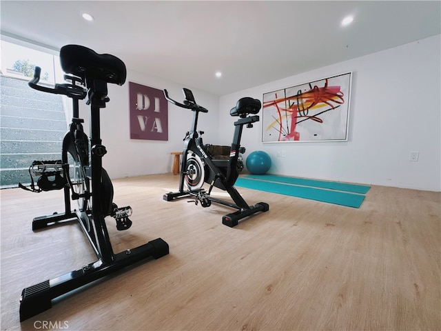 workout room featuring a wealth of natural light and wood-type flooring