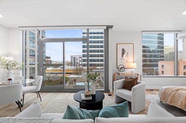 living room featuring floor to ceiling windows and wood-type flooring