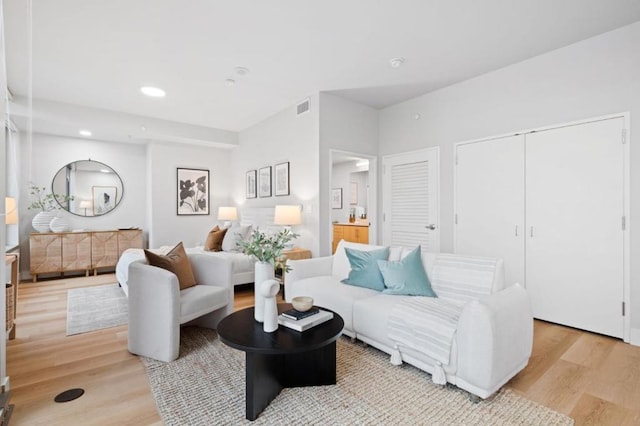 living room featuring light hardwood / wood-style flooring