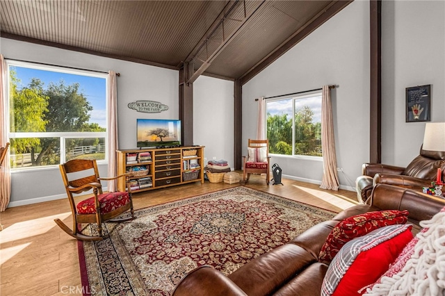 living room featuring wood-type flooring and plenty of natural light