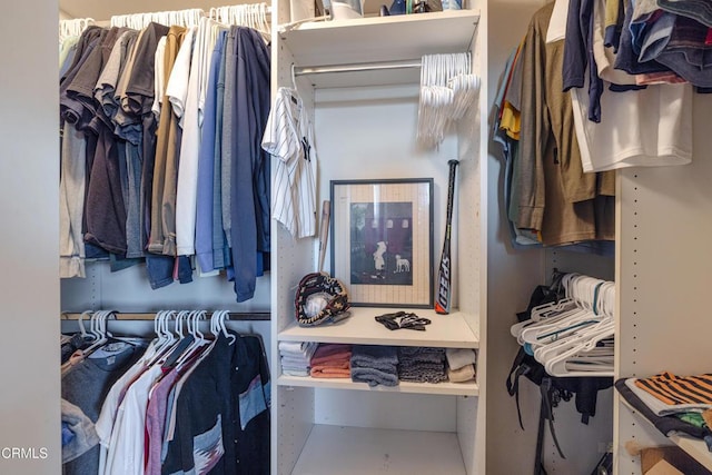 view of spacious closet