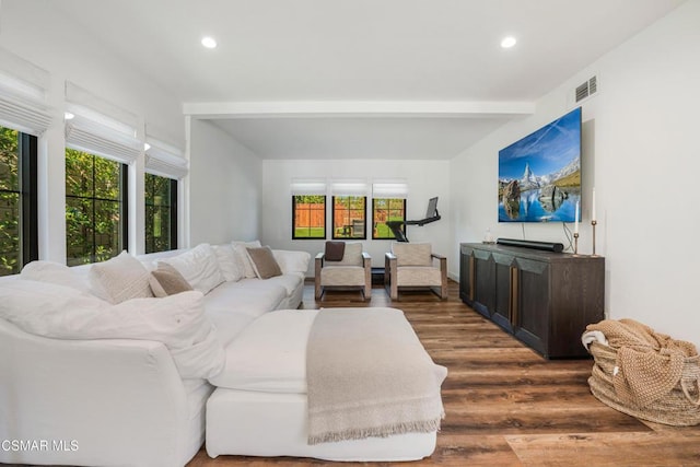 living room featuring a wealth of natural light, dark hardwood / wood-style flooring, and beam ceiling