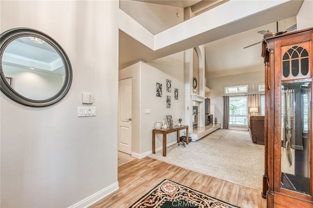 foyer featuring hardwood / wood-style flooring