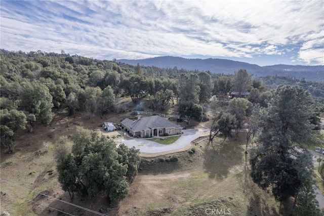 birds eye view of property with a mountain view