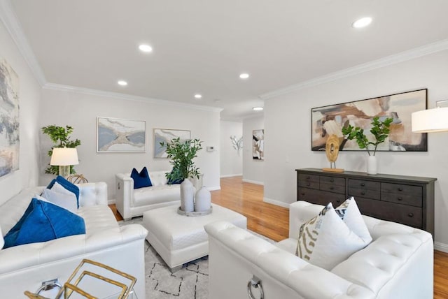 living room featuring crown molding and light hardwood / wood-style flooring